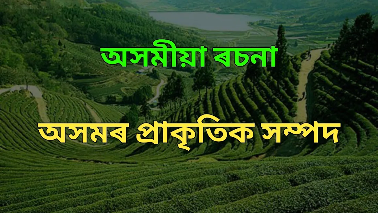 Natural Resources of Assam