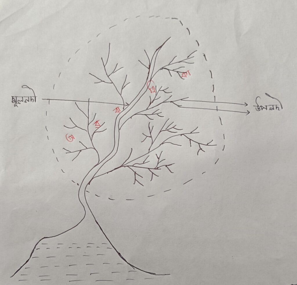 নদী অৱবাহিকা