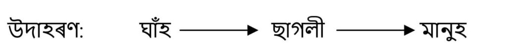 Class 10 Science Chapter 15 Q 5