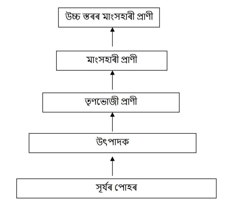 Class 10 Science Chapter 15 Q 7