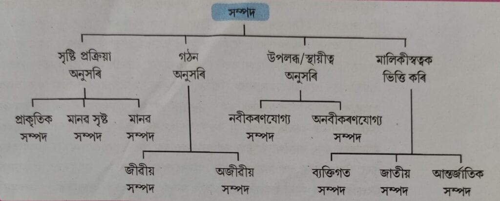 Classification of Resources
Class 10 Social Science Chapter 1