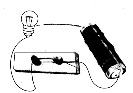 Class 6 Science Chapter 5 Q 5