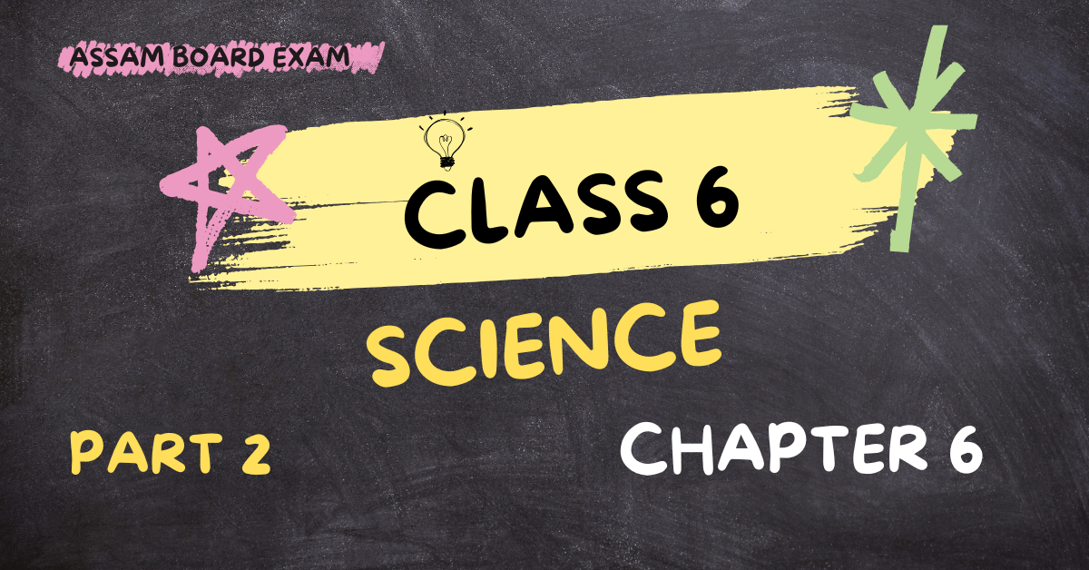 Class 6 Science Chapter 6