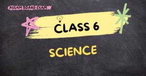 Class 6 Science