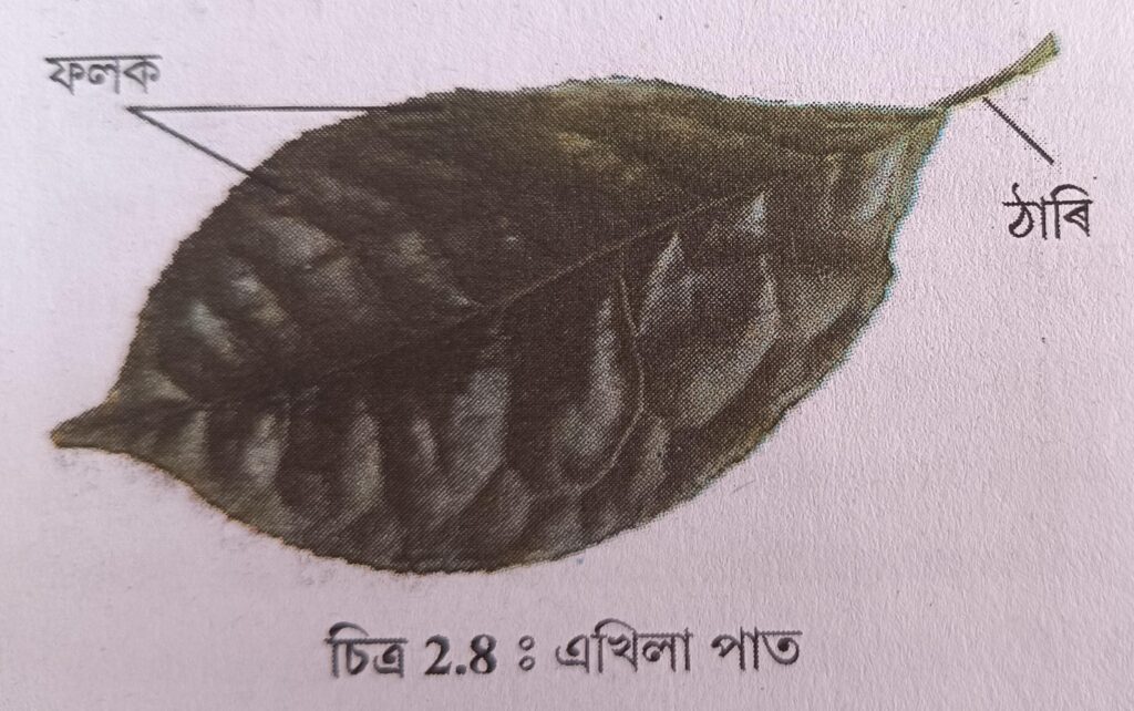 Class 6 Science Chapter 2 Q2