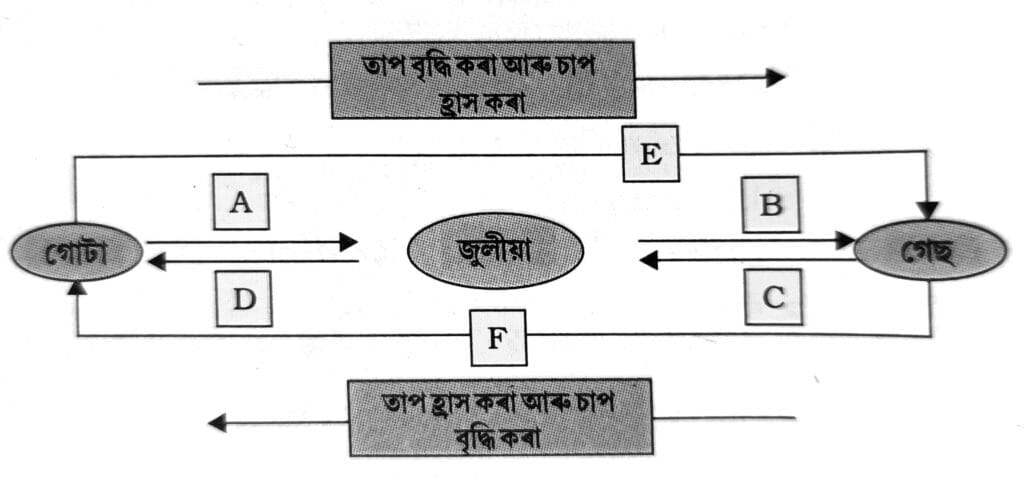 Class 9 Science Chapter 1 Q 9