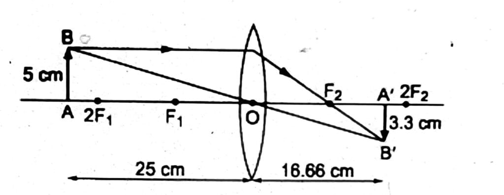 Convex lens